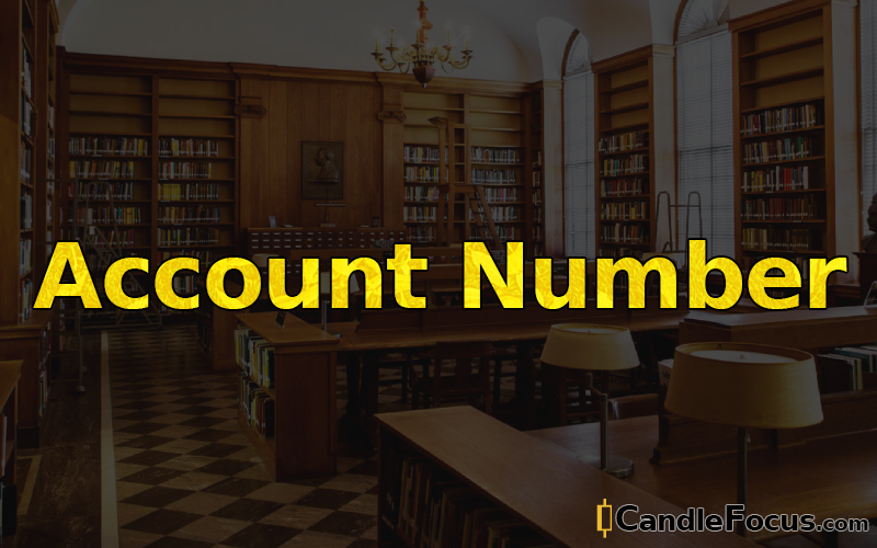 What is Account Number