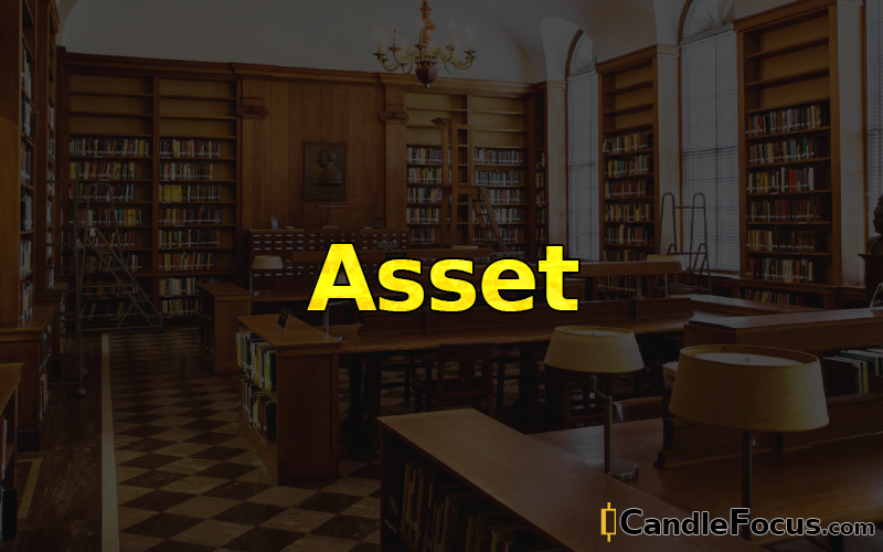 What is Asset