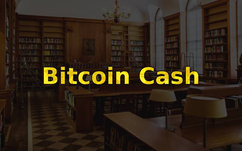 What is Bitcoin Cash