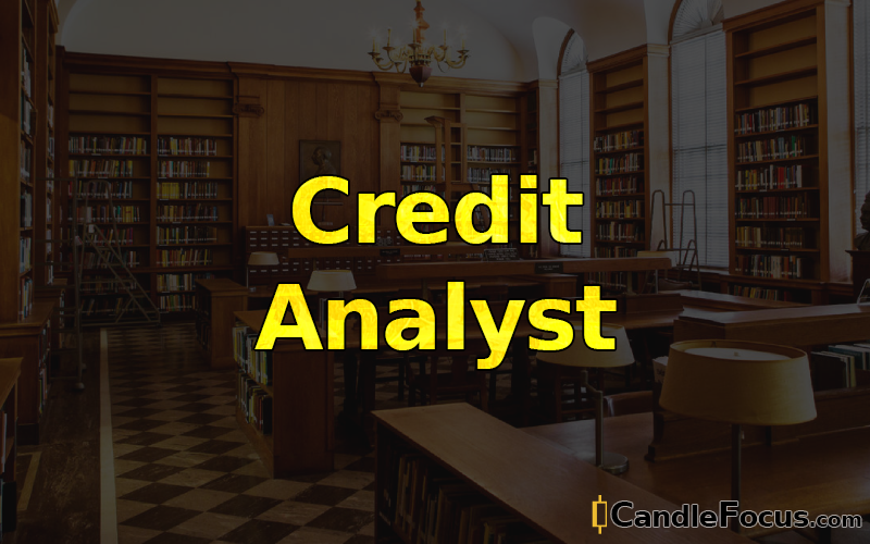 What is Credit Analyst