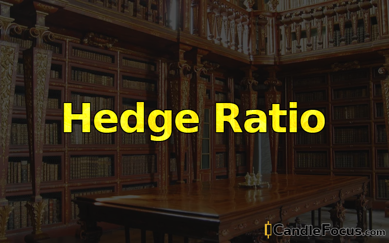 What is Hedge Ratio