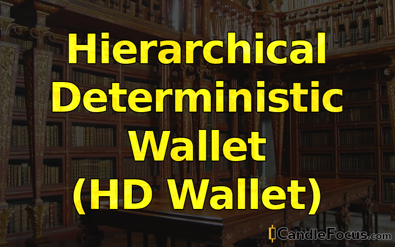 What is Hierarchical Deterministic Wallet (HD Wallet)
