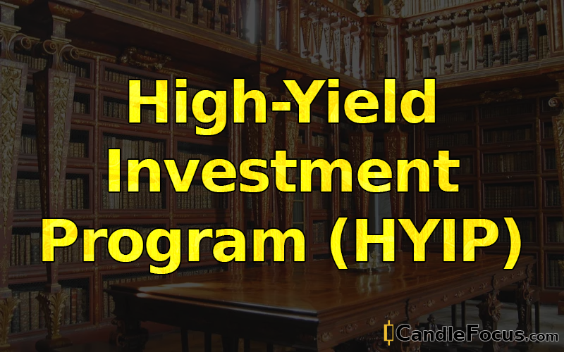 What is High-Yield Investment Program (HYIP)