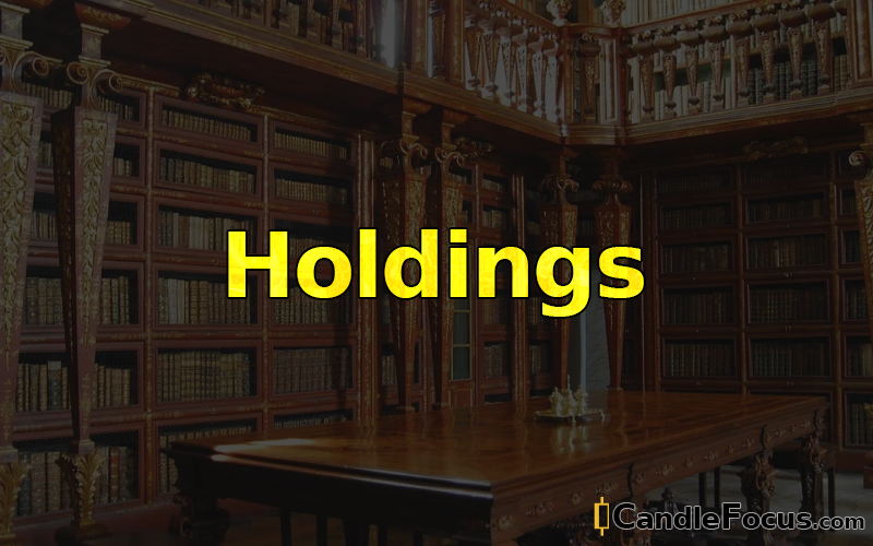 What is Holdings