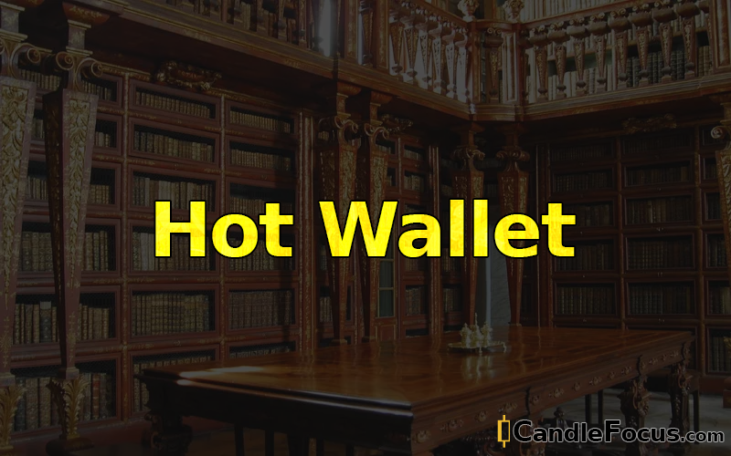 What is Hot Wallet