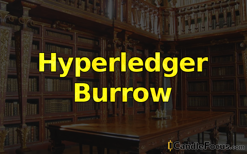 What is Hyperledger Burrow