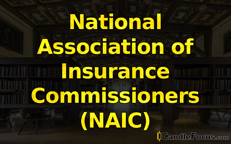 What is National Association of Insurance Commissioners (NAIC)