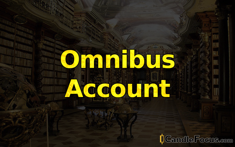 What is Omnibus Account